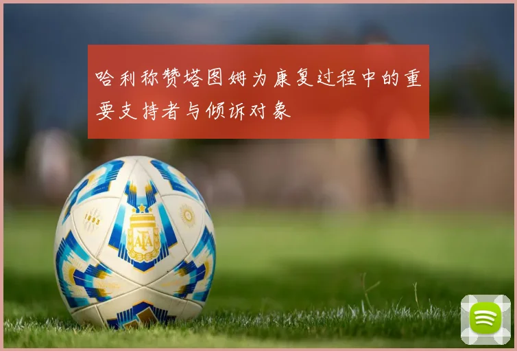 哈利称赞塔图姆为康复过程中的重要支持者与倾诉对象