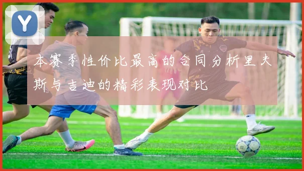 本赛季性价比最高的合同分析里夫斯与吉迪的精彩表现对比