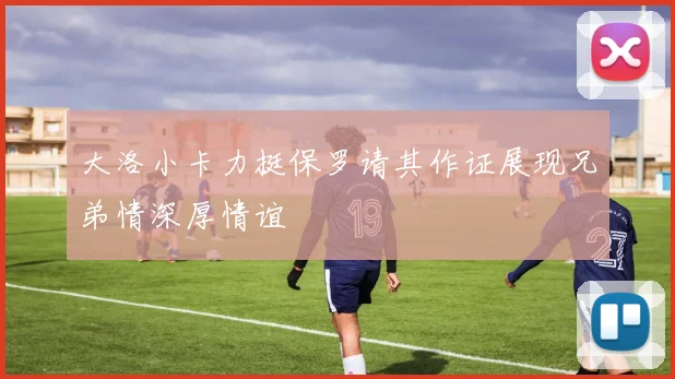 大洛小卡力挺保罗请其作证展现兄弟情深厚情谊