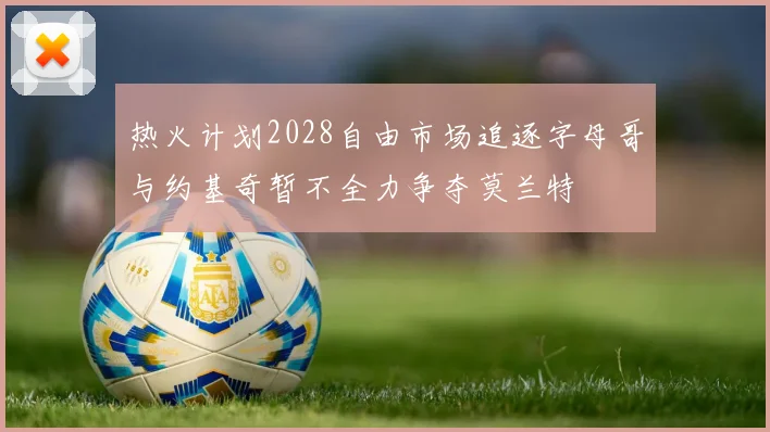 热火计划2028自由市场追逐字母哥与约基奇暂不全力争夺莫兰特