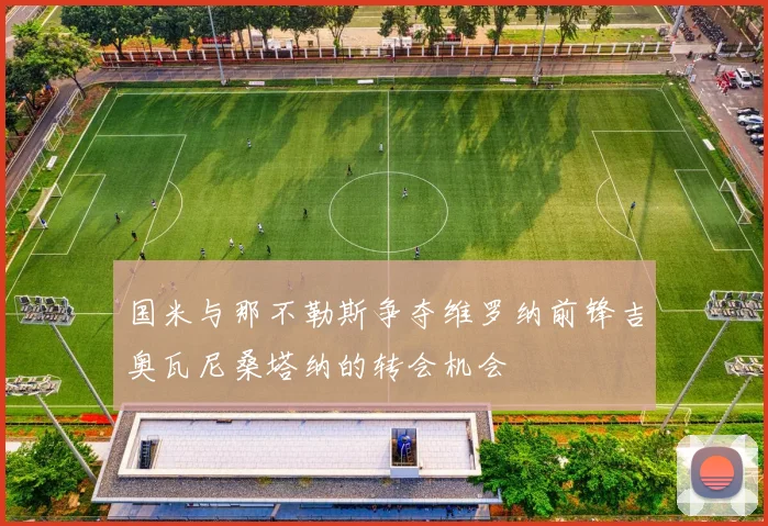 国米与那不勒斯争夺维罗纳前锋吉奥瓦尼桑塔纳的转会机会
